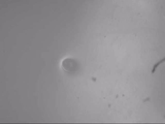 眼鏡片(瑕疵/劃傷/氣泡)深度學(xué)習(xí)視覺檢測系統(tǒng)插圖3 眼鏡片(瑕疵/劃傷/氣泡)深度學(xué)習(xí)視覺檢測系統(tǒng)-機(jī)器視覺_視覺檢測設(shè)備_3D視覺_缺陷檢測