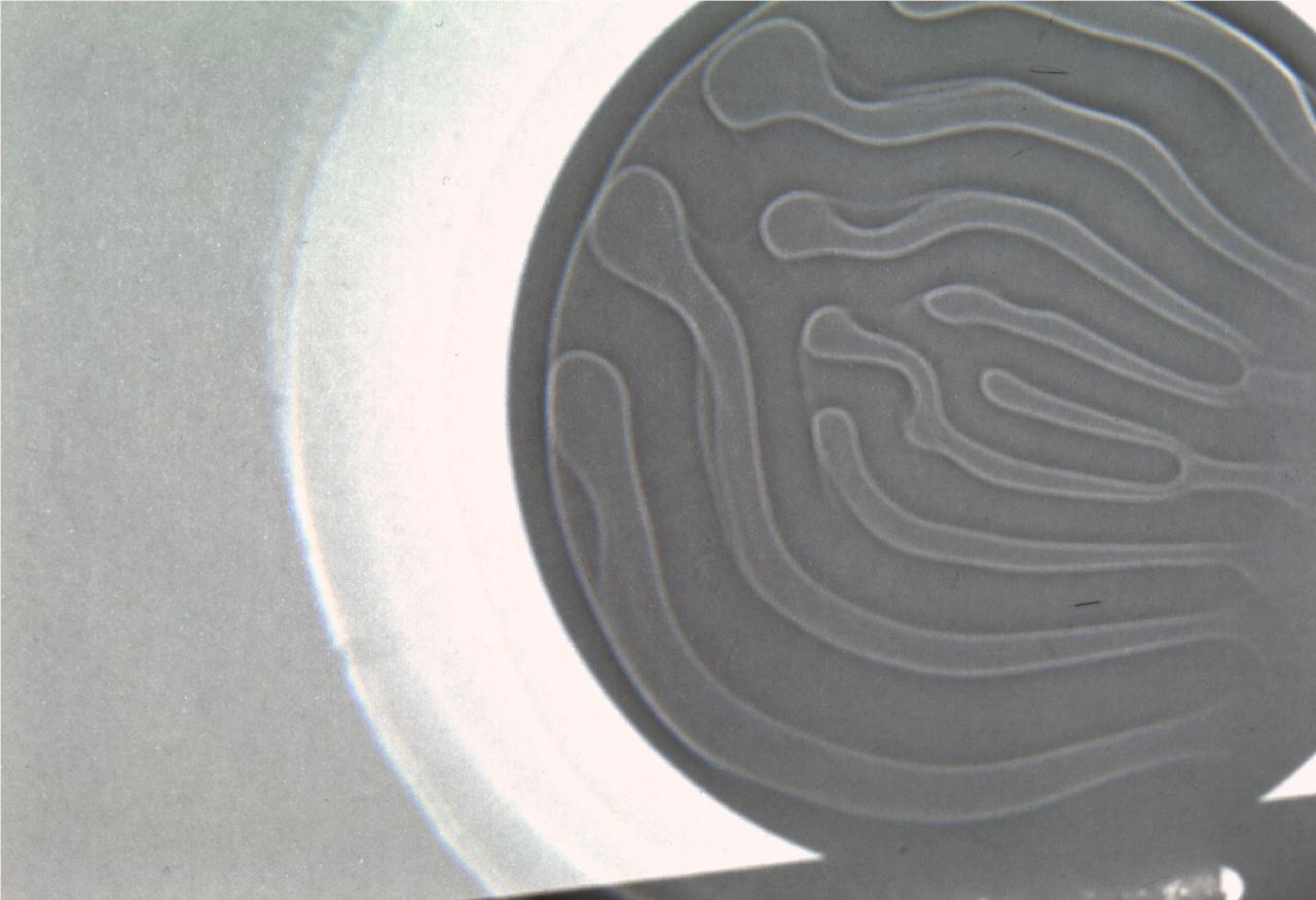 眼鏡片(瑕疵/劃傷/氣泡)深度學(xué)習(xí)視覺檢測系統(tǒng)插圖5 眼鏡片(瑕疵/劃傷/氣泡)深度學(xué)習(xí)視覺檢測系統(tǒng)-機(jī)器視覺_視覺檢測設(shè)備_3D視覺_缺陷檢測