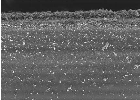 鋰離子電池生產(chǎn)現(xiàn)場異物管控插圖1 鋰離子電池生產(chǎn)現(xiàn)場異物管控-機(jī)器視覺_視覺檢測設(shè)備_3D視覺_缺陷檢測