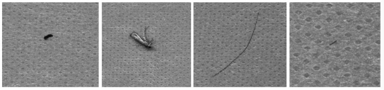 無紡布圖11.png 無紡布污點(diǎn)/異物檢測(cè)(機(jī)器視覺自動(dòng)檢測(cè)方案)-機(jī)器視覺_視覺檢測(cè)設(shè)備_3D視覺_缺陷檢測(cè)