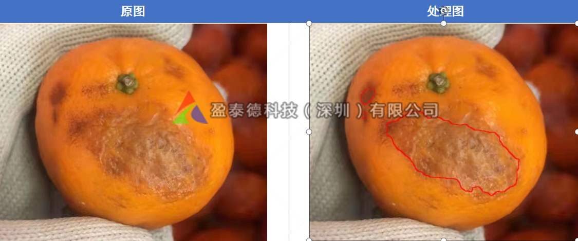水果自動(dòng)篩選機(jī)（水果不良品機(jī)器視覺檢測方案）插圖4