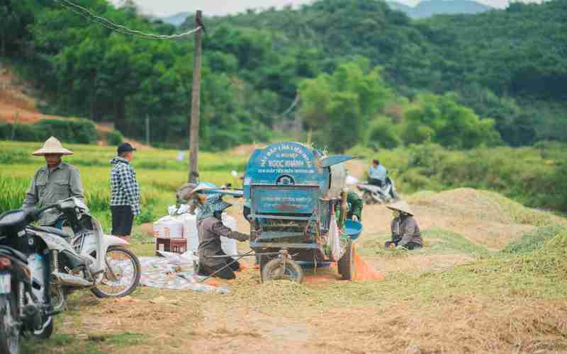 超市果蔬識別的機(jī)器視覺系統(tǒng)設(shè)計;基于機(jī)器視覺的圖像識別技術(shù) 超市果蔬識別的機(jī)器視覺系統(tǒng)設(shè)計;基于機(jī)器視覺的圖像識別技術(shù)