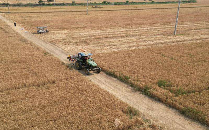 在高頻率生產(chǎn)環(huán)境中如何實(shí)施缺陷檢測(cè) 在高頻率生產(chǎn)環(huán)境中如何實(shí)施缺陷檢測(cè)