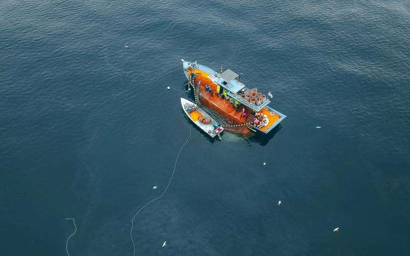 如何通過減少圖像處理步驟提高視覺檢測系統(tǒng)的實(shí)時(shí)性 如何通過減少圖像處理步驟提高視覺檢測系統(tǒng)的實(shí)時(shí)性