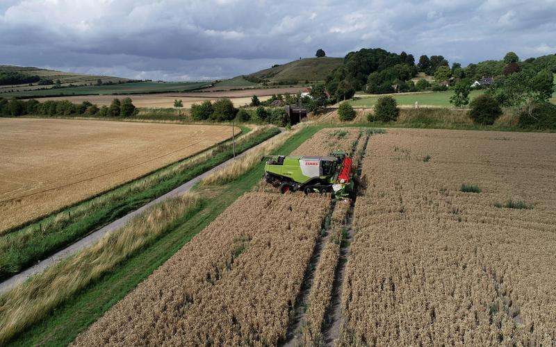 機器視覺在農(nóng)作物成熟度檢測中的應(yīng)用 機器視覺在農(nóng)作物成熟度檢測中的應(yīng)用