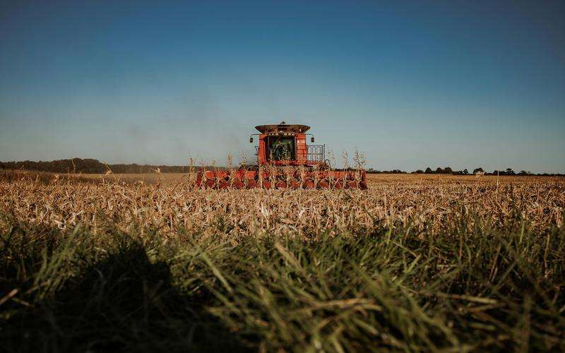 視覺檢測技術(shù)在醫(yī)學(xué)影像的結(jié)構(gòu)分割中有何應(yīng)用