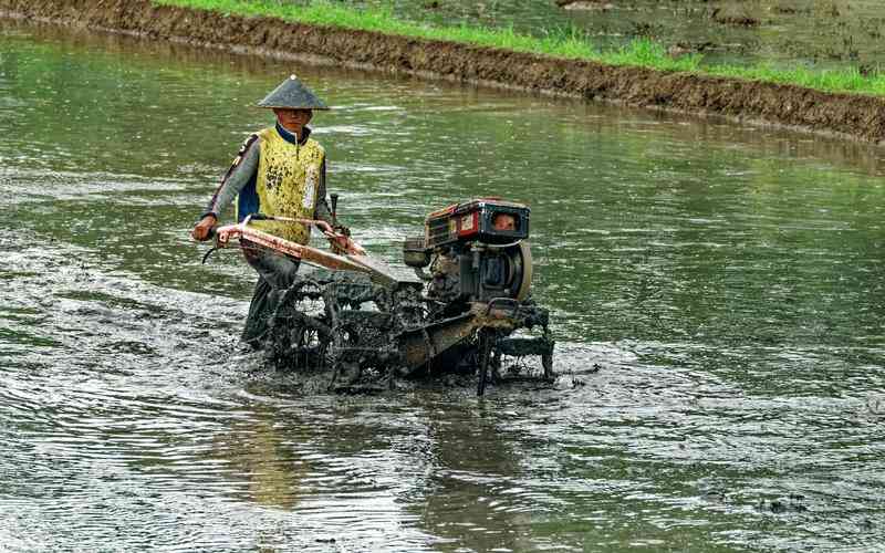 納米技術(shù)對(duì)視覺檢測(cè)設(shè)備的技術(shù)進(jìn)步有何促進(jìn)作用 納米技術(shù)對(duì)視覺檢測(cè)設(shè)備的技術(shù)進(jìn)步有何促進(jìn)作用