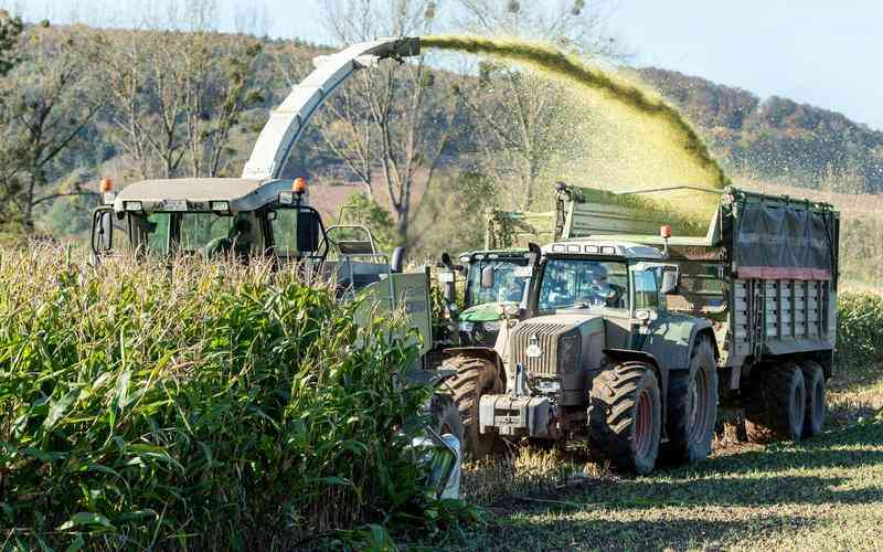 缺陷檢測(cè)中的數(shù)據(jù)預(yù)處理步驟是什么 缺陷檢測(cè)中的數(shù)據(jù)預(yù)處理步驟是什么
