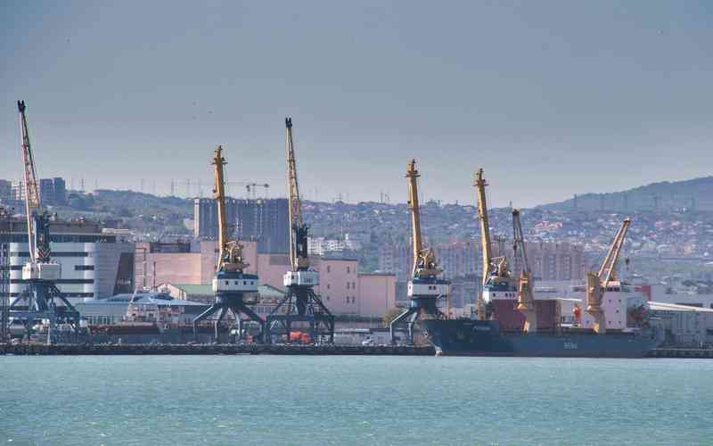 高溫光學篩選機的熱膨脹如何影響性能 高溫光學篩選機的熱膨脹如何影響性能