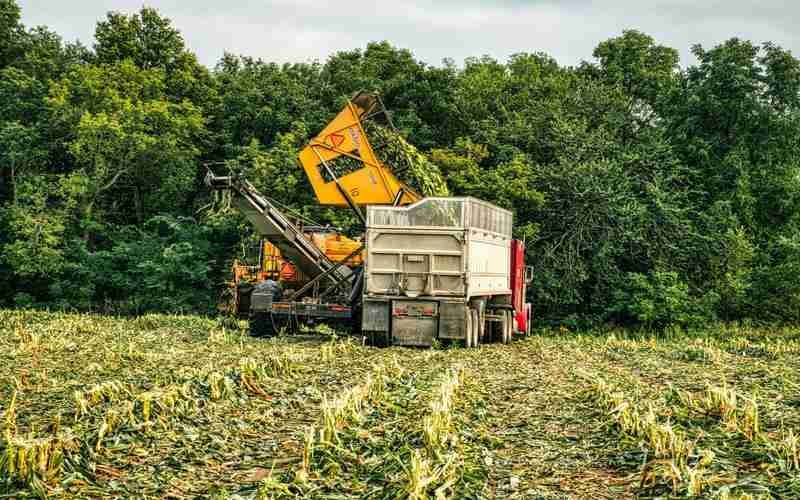 視覺檢測是用什么語言做的視覺語言都有哪些體現(xiàn) 視覺檢測是用什么語言做的視覺語言都有哪些體現(xiàn)