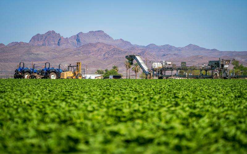 品檢機(jī)如何幫助提高食品生產(chǎn)線的效率 品檢機(jī)如何幫助提高食品生產(chǎn)線的效率