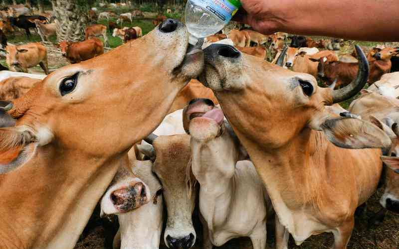 視覺品檢機的設(shè)備升級路徑是什么 視覺品檢機的設(shè)備升級路徑是什么