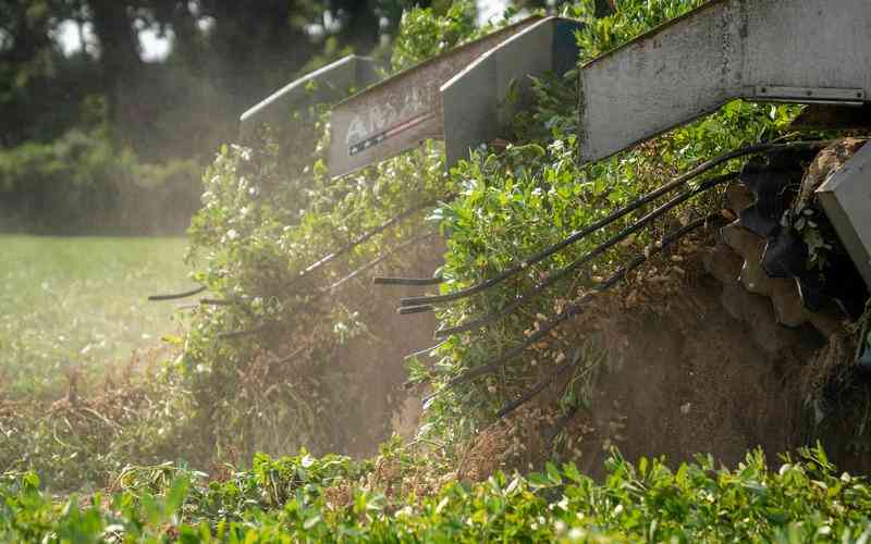 X射線檢測在缺陷檢測中的作用是什么 X射線檢測在缺陷檢測中的作用是什么