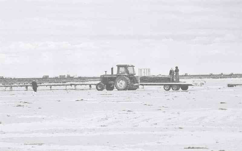 全自動(dòng)品檢機(jī)如何處理不同類型的缺陷 全自動(dòng)品檢機(jī)如何處理不同類型的缺陷