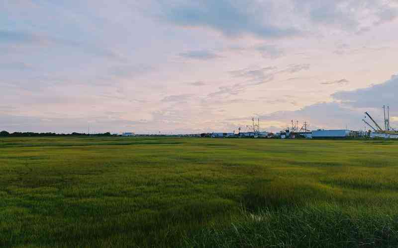 食品包裝行業(yè)中常用的機器視覺技術有哪些 食品包裝行業(yè)中常用的機器視覺技術有哪些