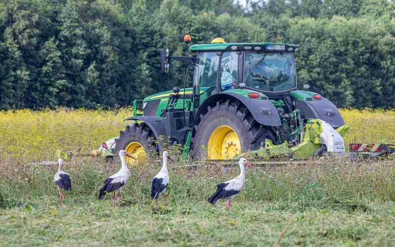 如何進(jìn)行機(jī)器視覺(jué)系統(tǒng)的圖像配準(zhǔn)與校正 如何進(jìn)行機(jī)器視覺(jué)系統(tǒng)的圖像配準(zhǔn)與校正
