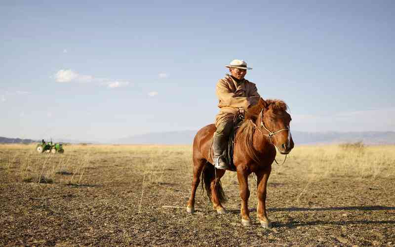視覺(jué)檢測(cè)系統(tǒng)中鏡頭失真的修正是否影響系統(tǒng)的響應(yīng)時(shí)間 視覺(jué)檢測(cè)系統(tǒng)中鏡頭失真的修正是否影響系統(tǒng)的響應(yīng)時(shí)間