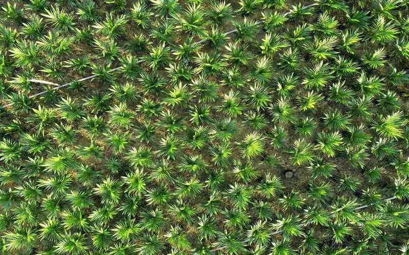 機器視覺自動化設(shè)備如何與傳統(tǒng)傳感器技術(shù)結(jié)合 機器視覺自動化設(shè)備如何與傳統(tǒng)傳感器技術(shù)結(jié)合