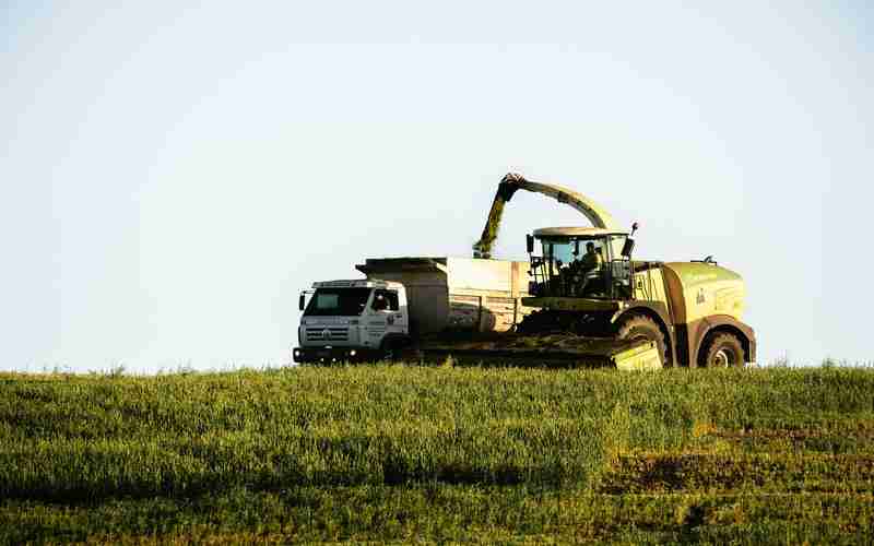 光學篩選機廠家—風選篩選機 光學篩選機廠家—風選篩選機
