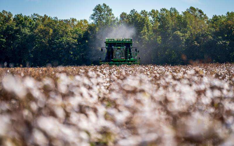 Omron機器視覺系統(tǒng)的性能評估標準有哪些 Omron機器視覺系統(tǒng)的性能評估標準有哪些