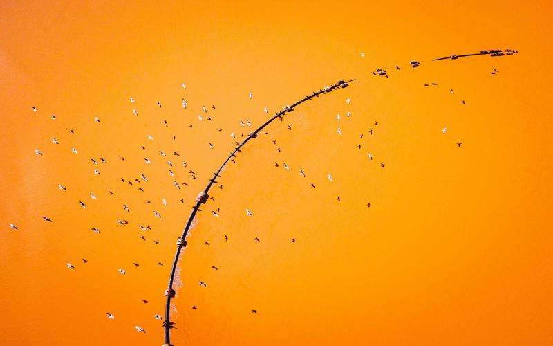 外觀檢測對藥品穩(wěn)定性的影響有哪些 外觀檢測對藥品穩(wěn)定性的影響有哪些