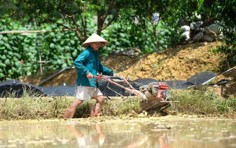 如何選擇符合法規(guī)標(biāo)準(zhǔn)的機(jī)器視覺廠家 如何選擇符合法規(guī)標(biāo)準(zhǔn)的機(jī)器視覺廠家