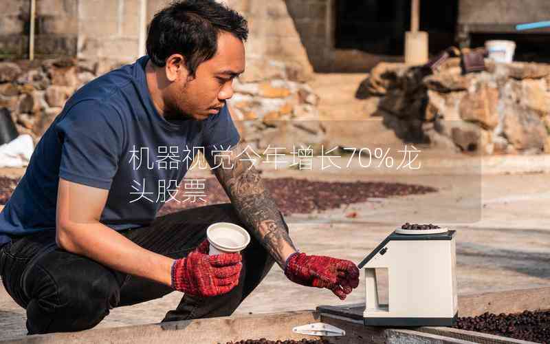 機器視覺今年增長70%龍頭股票 機器視覺今年增長70%龍頭股票