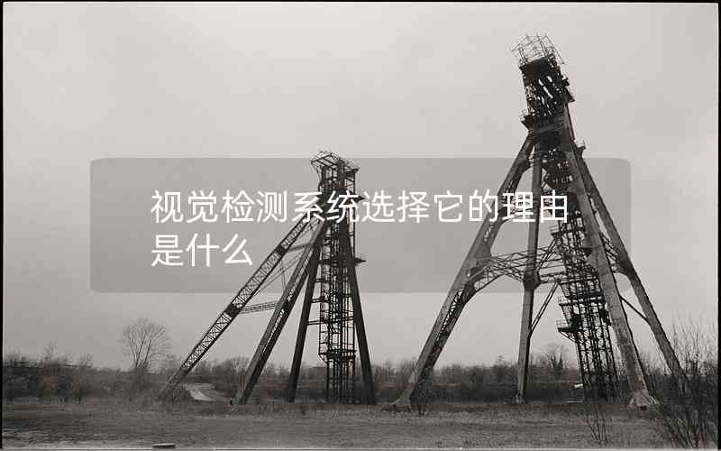 視覺(jué)檢測(cè)系統(tǒng)選擇它的理由是什么 視覺(jué)檢測(cè)系統(tǒng)選擇它的理由是什么