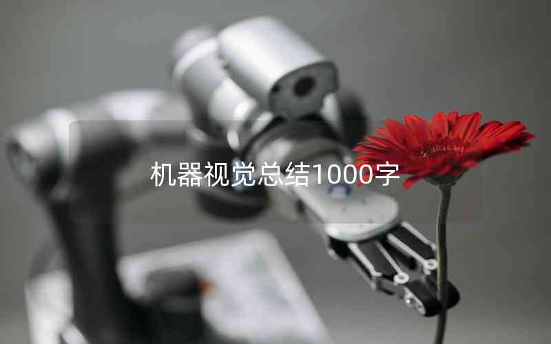 機(jī)器視覺總結(jié)1000字 機(jī)器視覺總結(jié)1000字