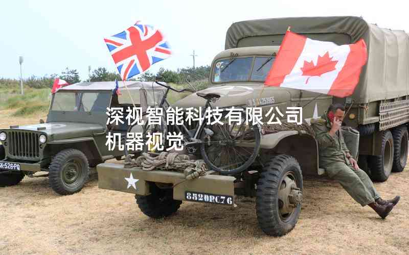 深視智能科技有限公司 機器視覺 深視智能科技有限公司 機器視覺