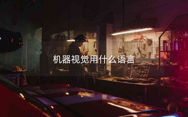 機器視覺用什么語言 機器視覺用什么語言