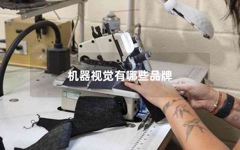 機(jī)器視覺有哪些品牌 機(jī)器視覺有哪些品牌