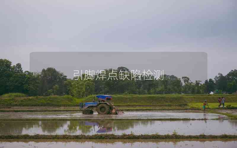 引腳焊點(diǎn)缺陷檢測 引腳焊點(diǎn)缺陷檢測