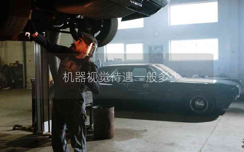 機(jī)器視覺(jué)待遇一般多少 機(jī)器視覺(jué)待遇一般多少