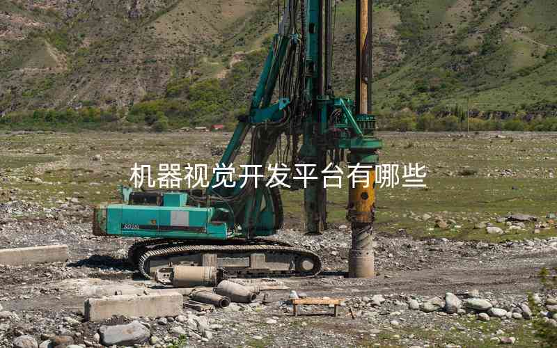 機器視覺開發(fā)平臺有哪些 機器視覺開發(fā)平臺有哪些