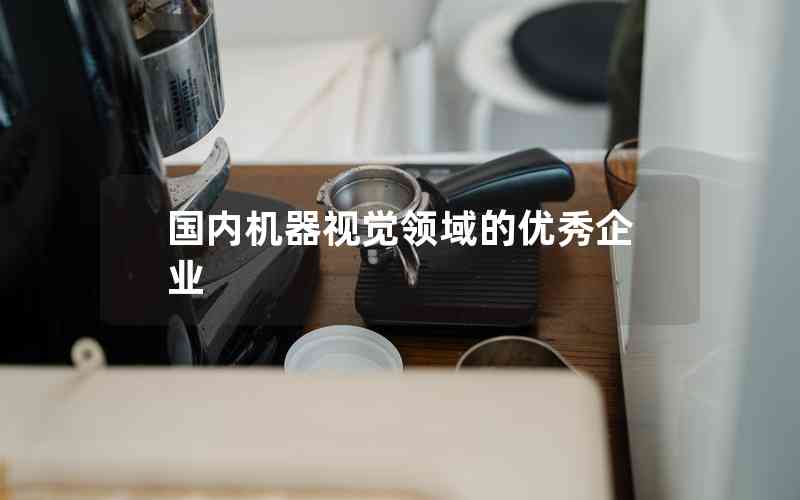 國(guó)內(nèi)機(jī)器視覺(jué)領(lǐng)域的優(yōu)秀企業(yè) 國(guó)內(nèi)機(jī)器視覺(jué)領(lǐng)域的優(yōu)秀企業(yè)