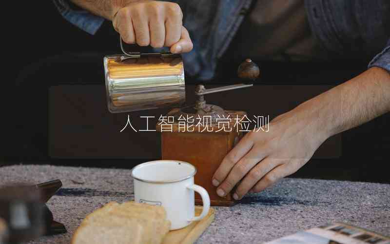 人工智能視覺(jué)檢測(cè) 人工智能視覺(jué)檢測(cè)