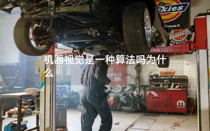 機器視覺是一種算法嗎為什么 機器視覺是一種算法嗎為什么