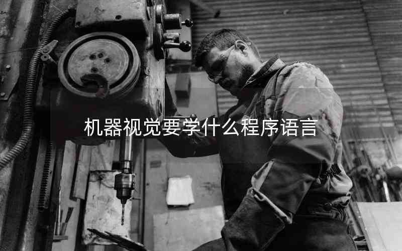 機(jī)器視覺要學(xué)什么程序語言 機(jī)器視覺要學(xué)什么程序語言