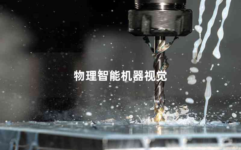 物理智能機(jī)器視覺(jué) 物理智能機(jī)器視覺(jué)