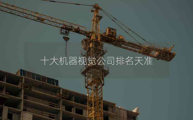 十大機(jī)器視覺公司排名天準(zhǔn) 十大機(jī)器視覺公司排名天準(zhǔn)