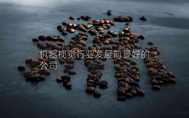 機(jī)器視覺(jué)行業(yè)發(fā)展前景好的公司 機(jī)器視覺(jué)行業(yè)發(fā)展前景好的公司