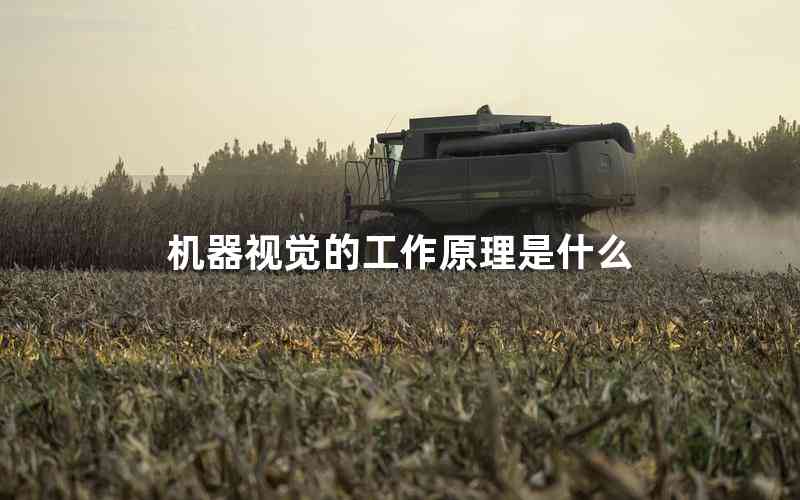 機(jī)器視覺的工作原理是什么 機(jī)器視覺的工作原理是什么