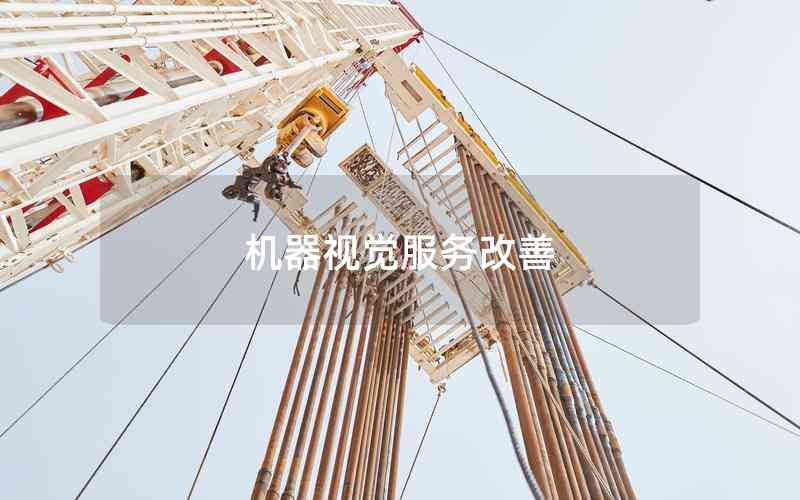 機器視覺服務(wù)改善 機器視覺服務(wù)改善