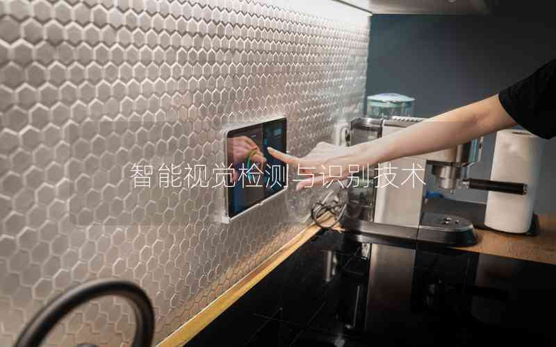 智能視覺檢測與識別技術(shù) 智能視覺檢測與識別技術(shù)
