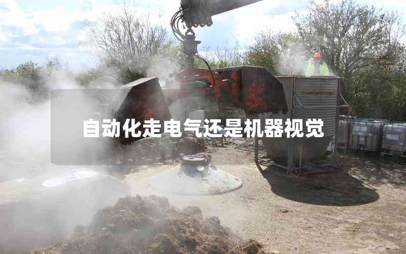 自動(dòng)化走電氣還是機(jī)器視覺(jué) 自動(dòng)化走電氣還是機(jī)器視覺(jué)