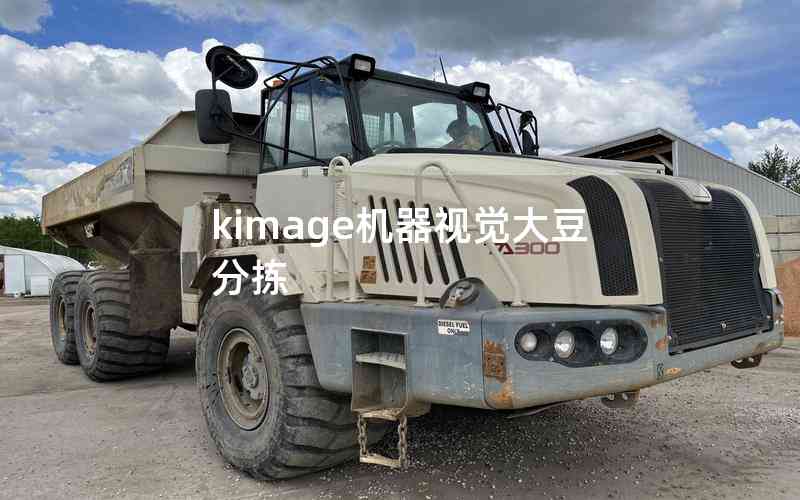 kimage機(jī)器視覺大豆分揀 kimage機(jī)器視覺大豆分揀