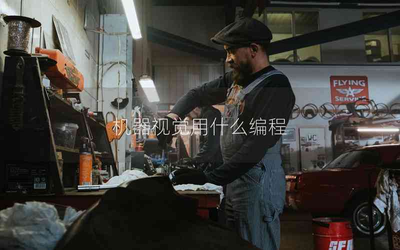 機(jī)器視覺用什么編程 機(jī)器視覺用什么編程