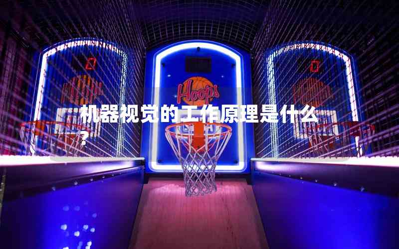 機(jī)器視覺的工作原理是什么? 機(jī)器視覺的工作原理是什么?
