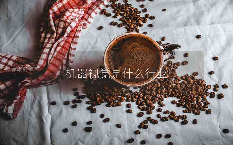 機器視覺是什么行業(yè) 機器視覺是什么行業(yè)